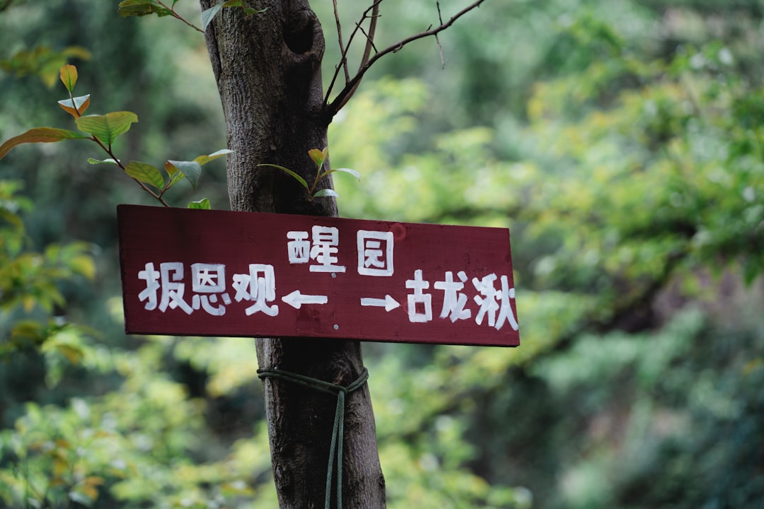 漠河北韵旅行社将持续完善新闻栏目和业务内容
